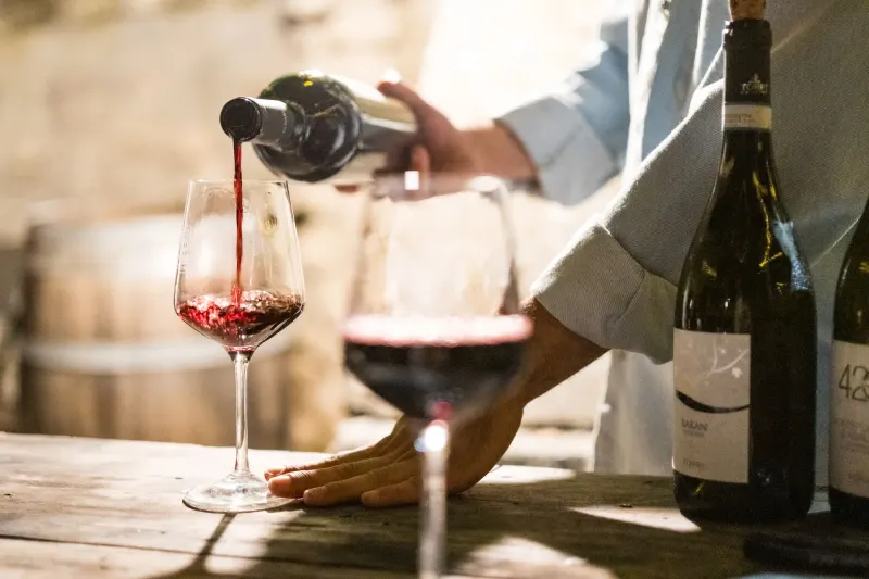 Degustazione di Vini Tipici della Puglia